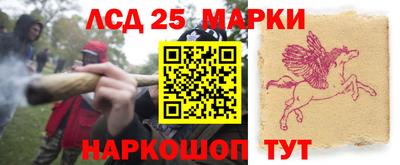 мдпв Донской