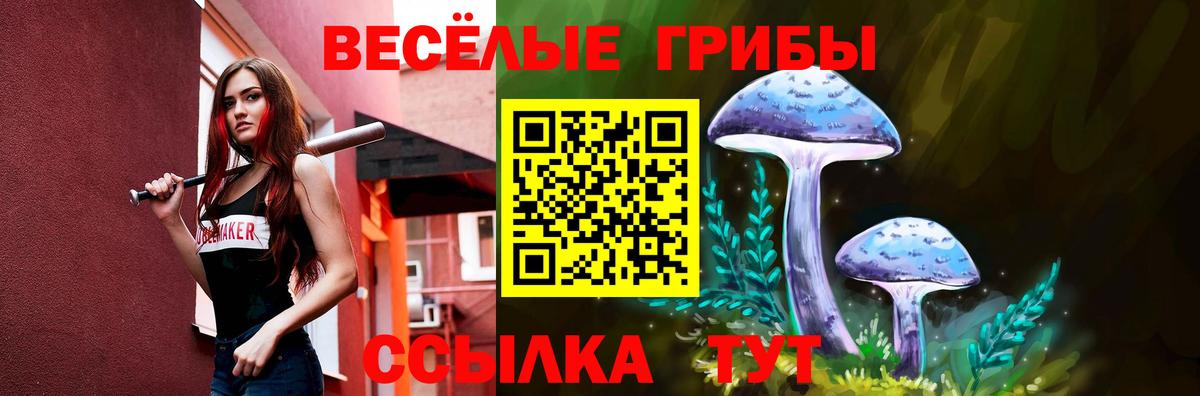 Псилоцибиновые грибы мицелий Верхний Уфалей